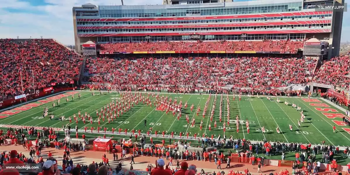 行业领先的理由